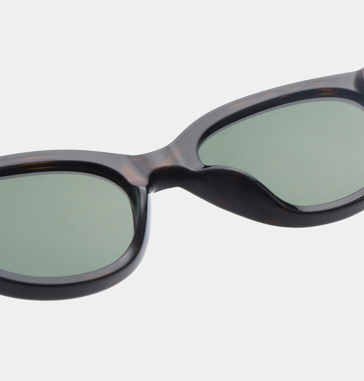 Winnie - demi tortoise