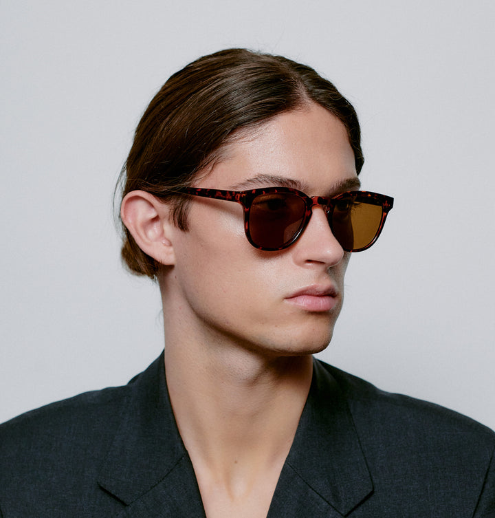 Bate - Demi Tortoise