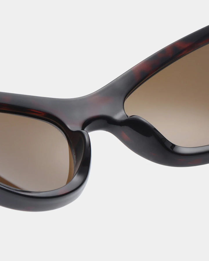 Blast -  demi tortoise