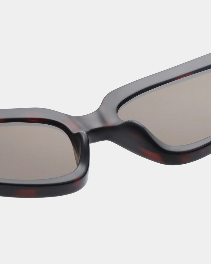 Ella - demi tortoise