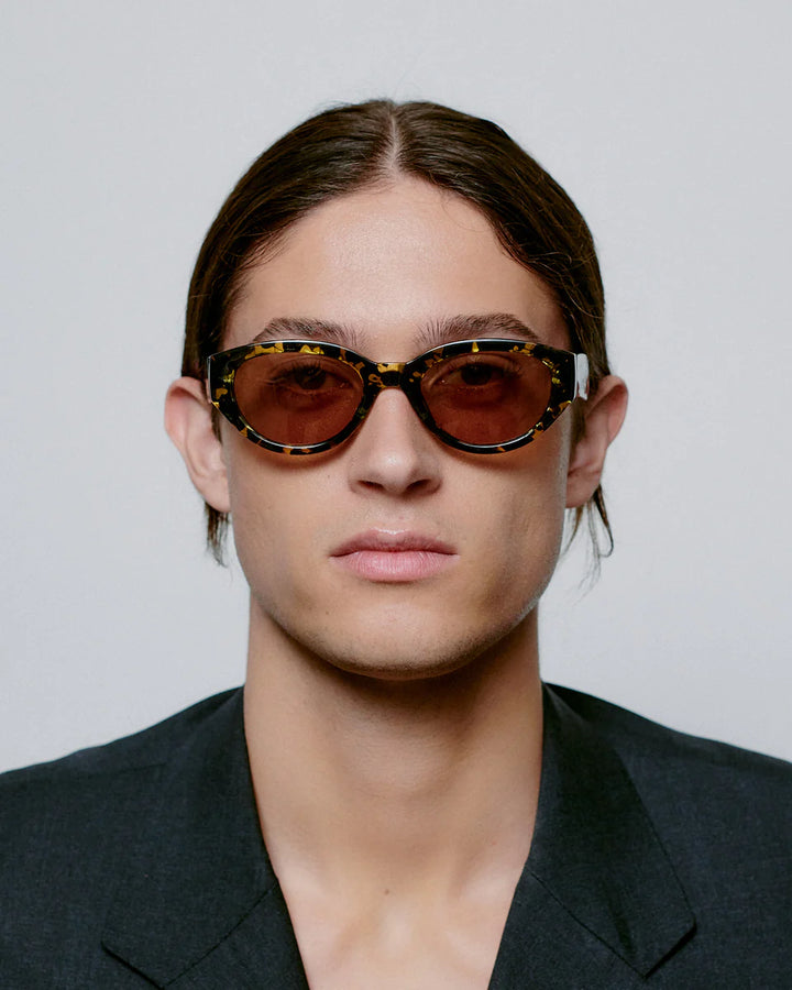 Winnie - black yellow tortoise