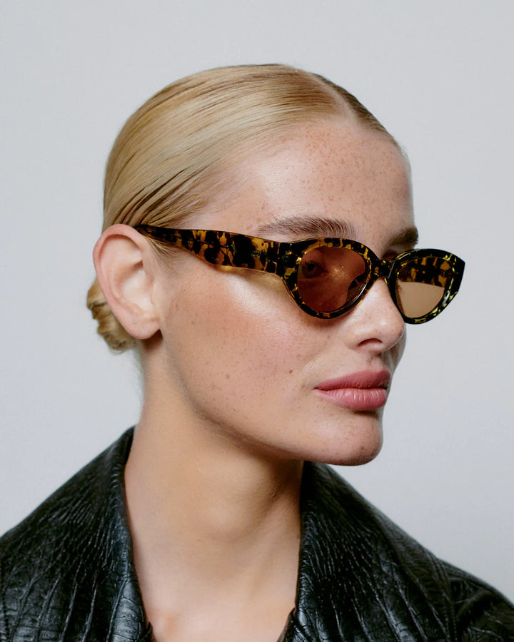 Winnie - black yellow tortoise