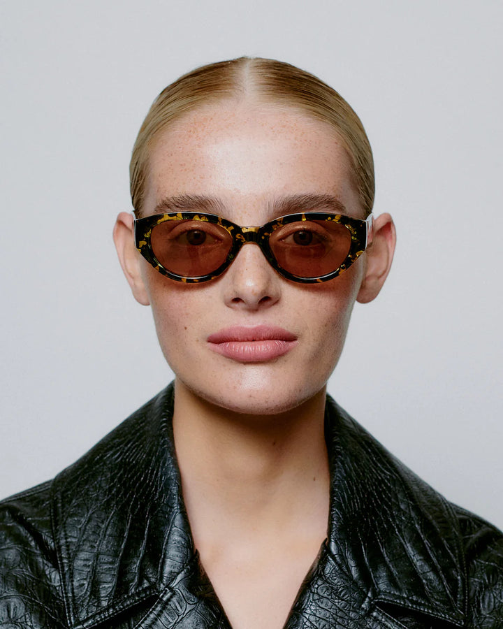 Winnie - black yellow tortoise