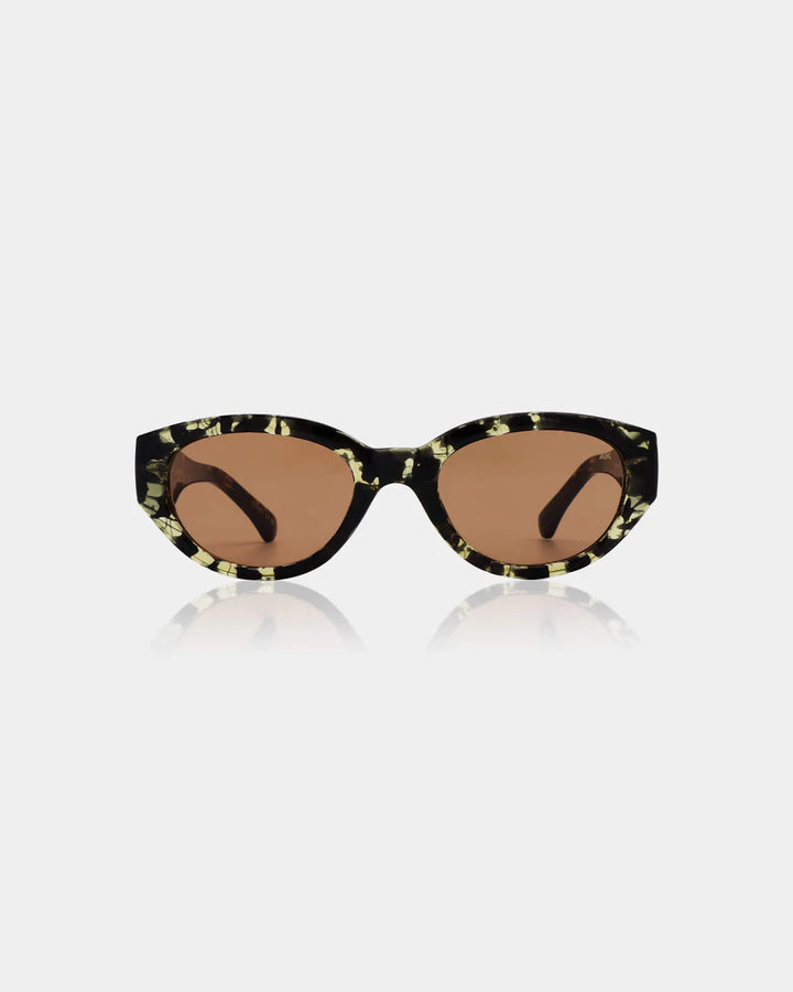 Winnie - black yellow tortoise