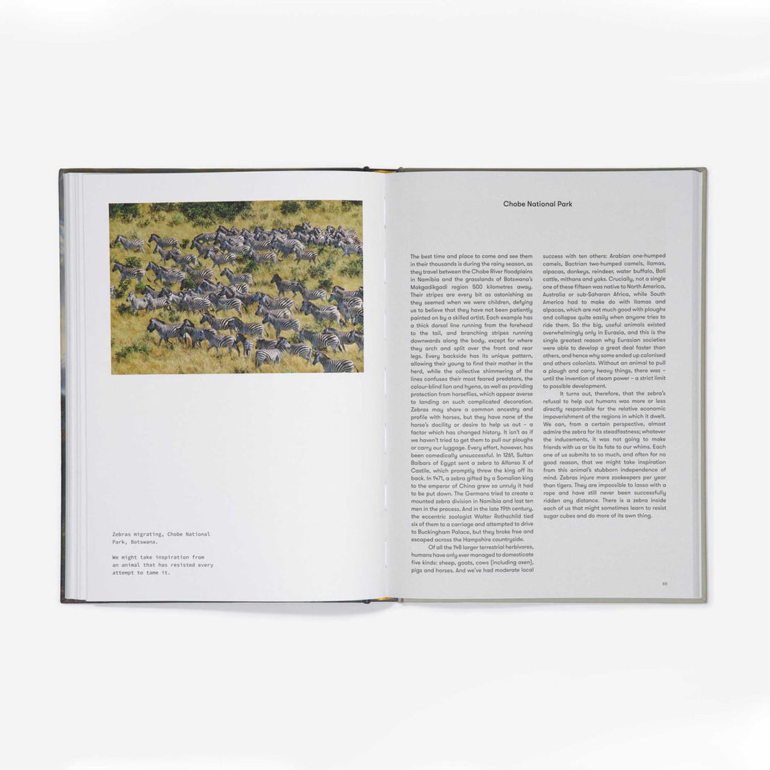 A THERAPEUTIC ATLAS | BUCH | English Edition | The School of Life