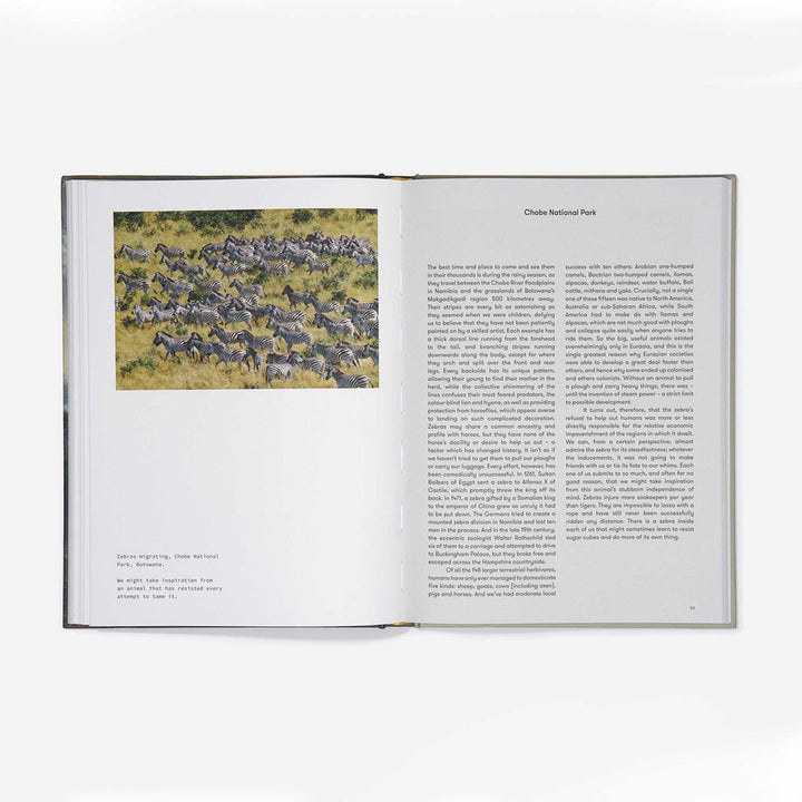 A THERAPEUTIC ATLAS | BUCH | English Edition | The School of Life