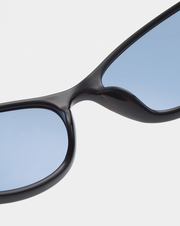 Alexa - demi tortoise