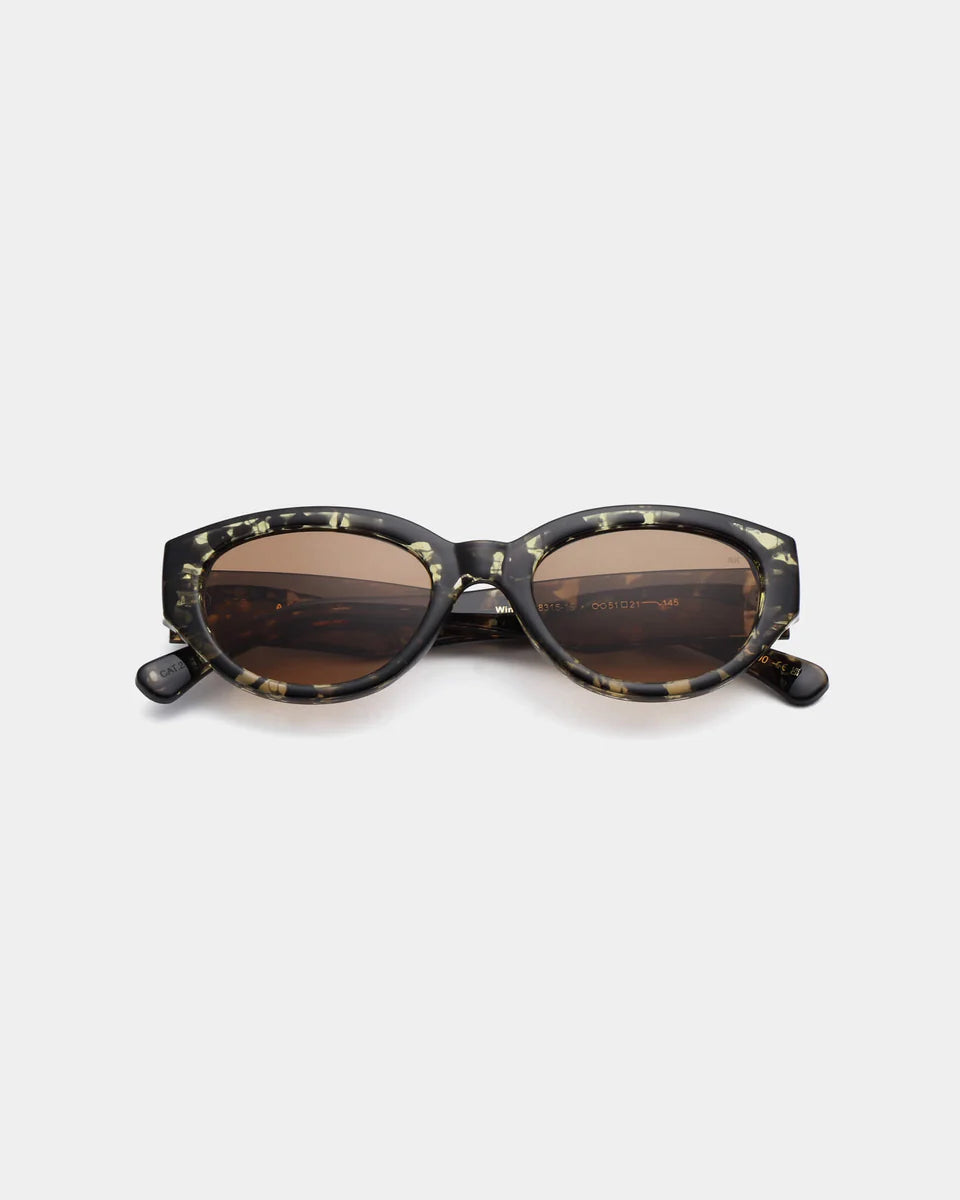 Winnie - black yellow tortoise