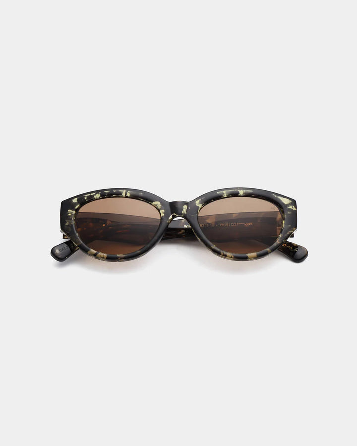 Winnie - black yellow tortoise