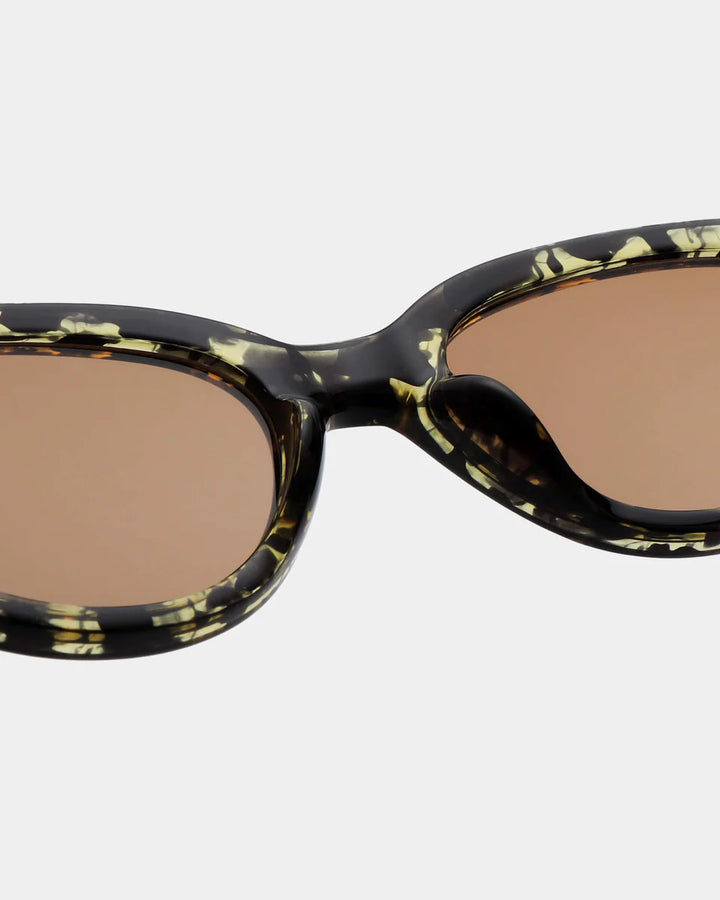 Winnie - black yellow tortoise