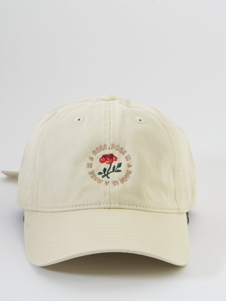 Stein's Rose - beige