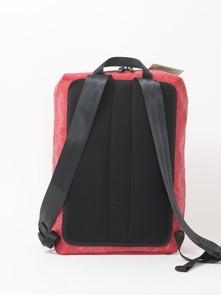 F49 FRINGE  - red black