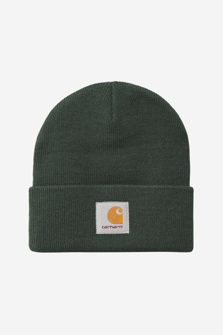 Short Watch Hat - Dark Scarab