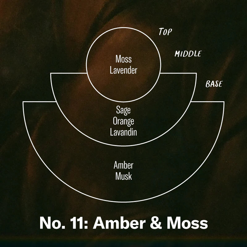 Amber & Moss– 7.2 oz Soy Candle