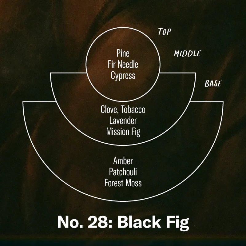 Black Fig– 7.2 oz Soy Candle
