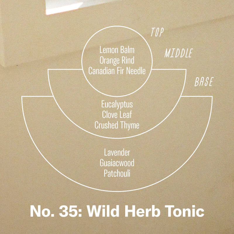 Wild Herb Tonic– 7.2 oz Soy Candle