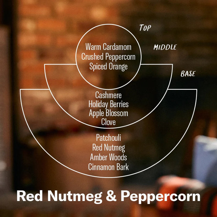 Red Nutmeg & Peppercorn– 7.2 oz Soy Candle
