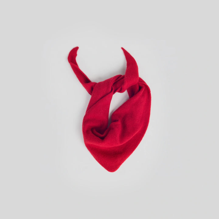 Bandana-Framboise