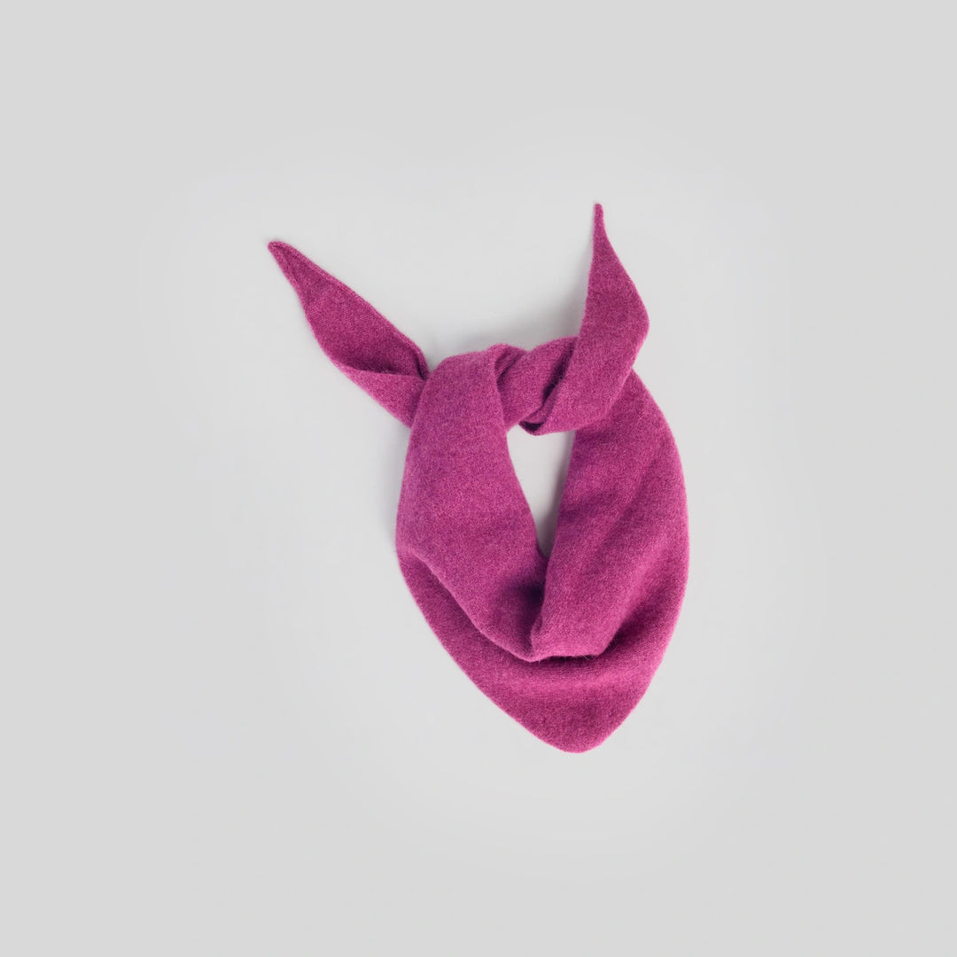 Bandana-Rhubarb