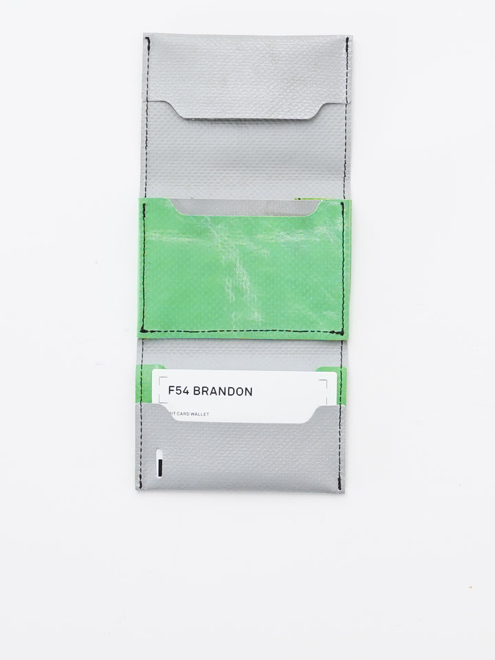 F54 Brandon - silver/green